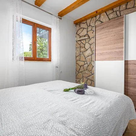 Family-friendly With Swimming Pool Drenje, - 22992